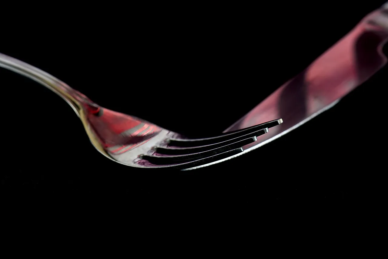 fork, shadow, reflection, cutlery, knife, gloss, fork, fork, fork, fork, fork