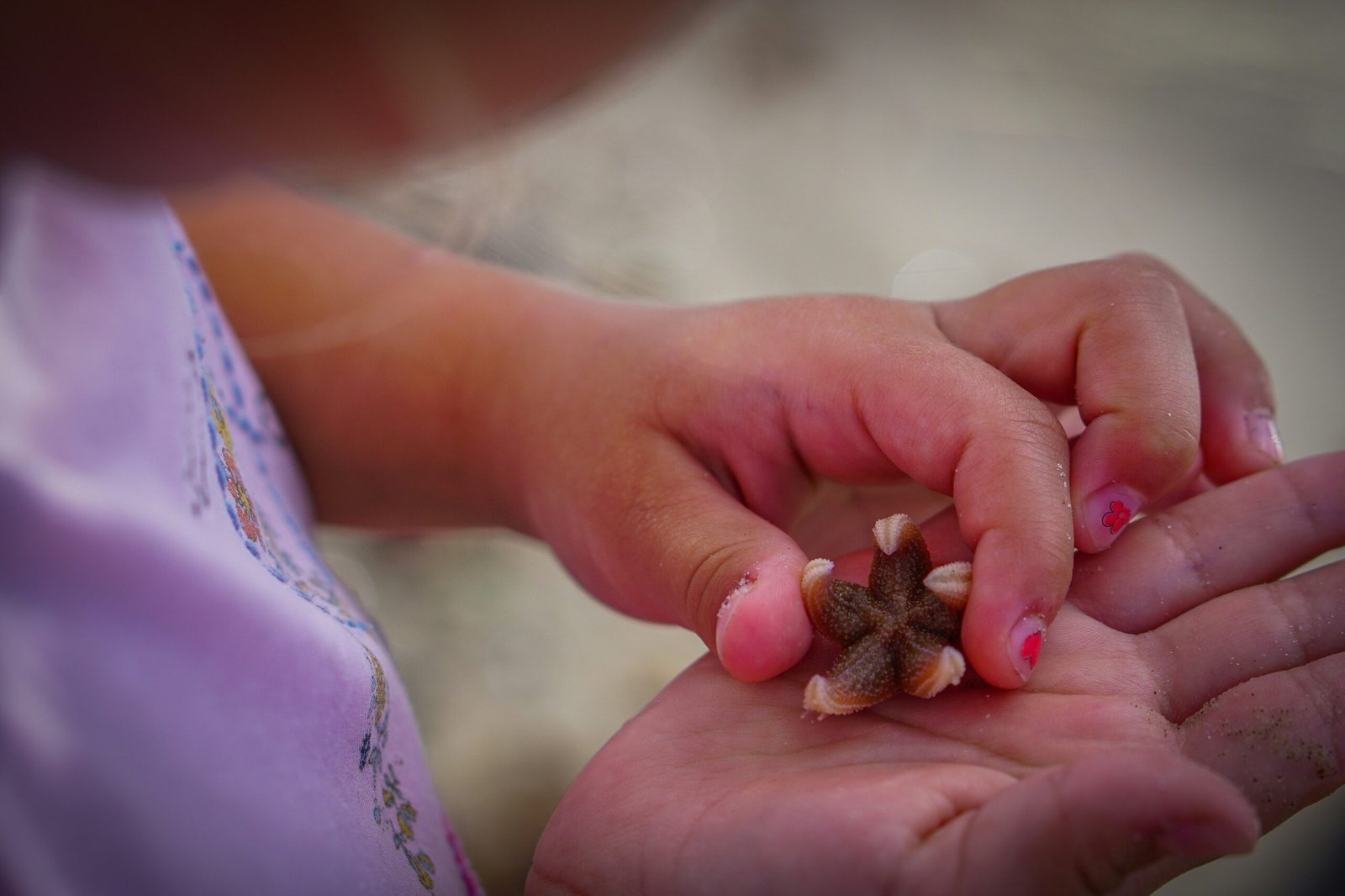 a person holding a tiny animal in their hands