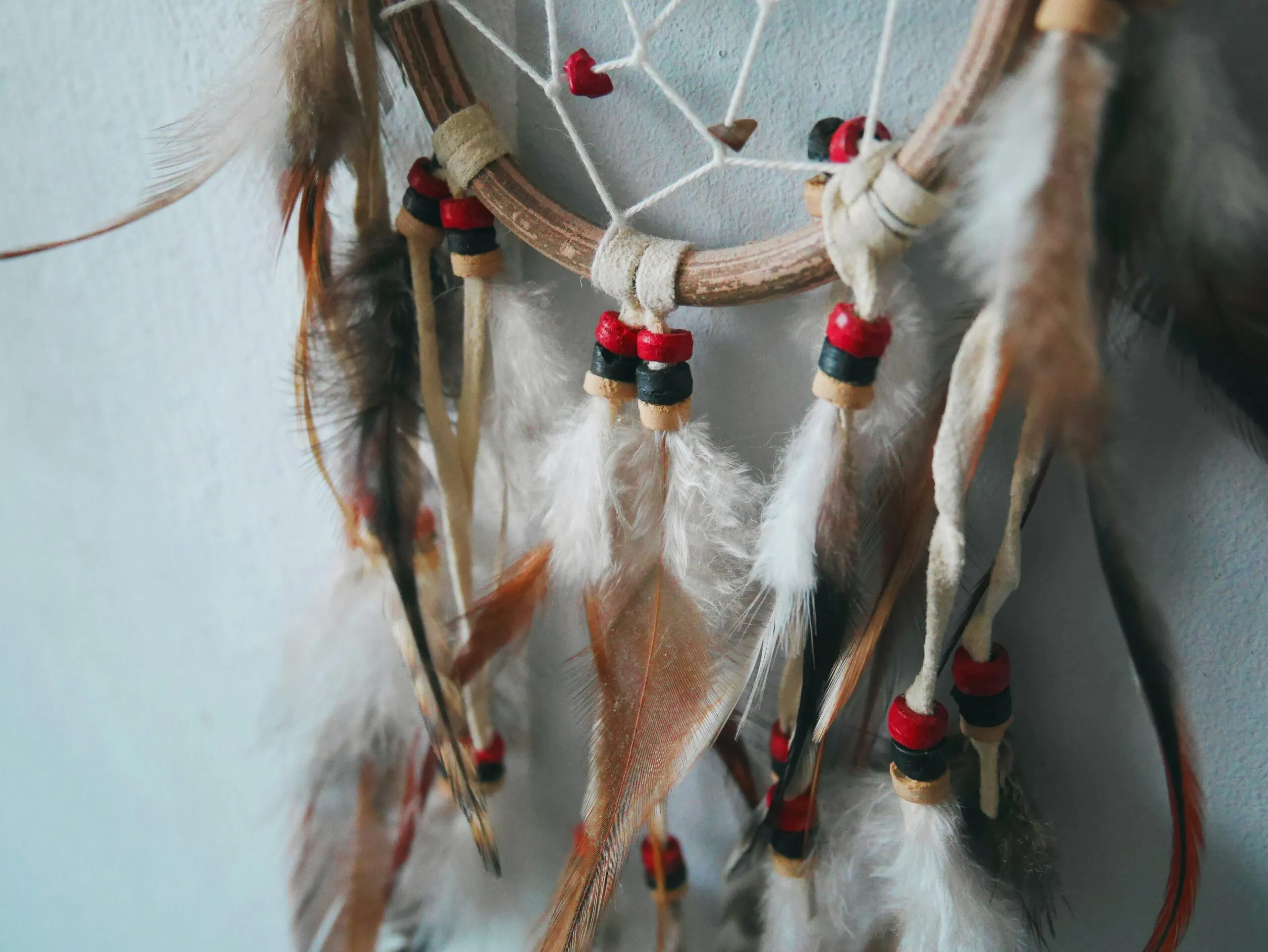white and brown horse with brown and white rope