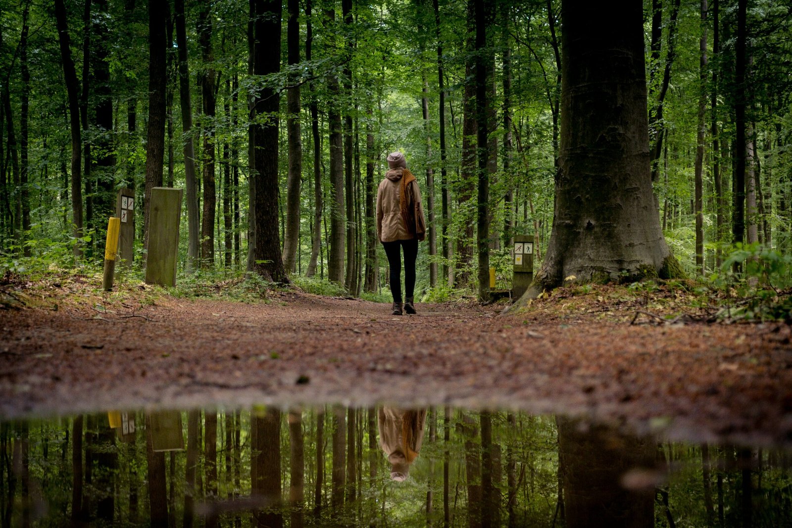 a person walking down a path in the woods