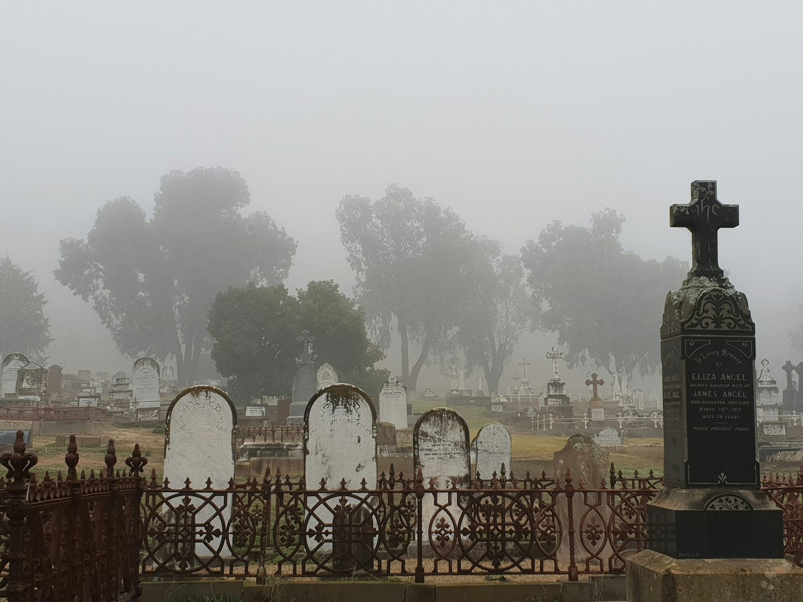 cemetery near trees in foggy day