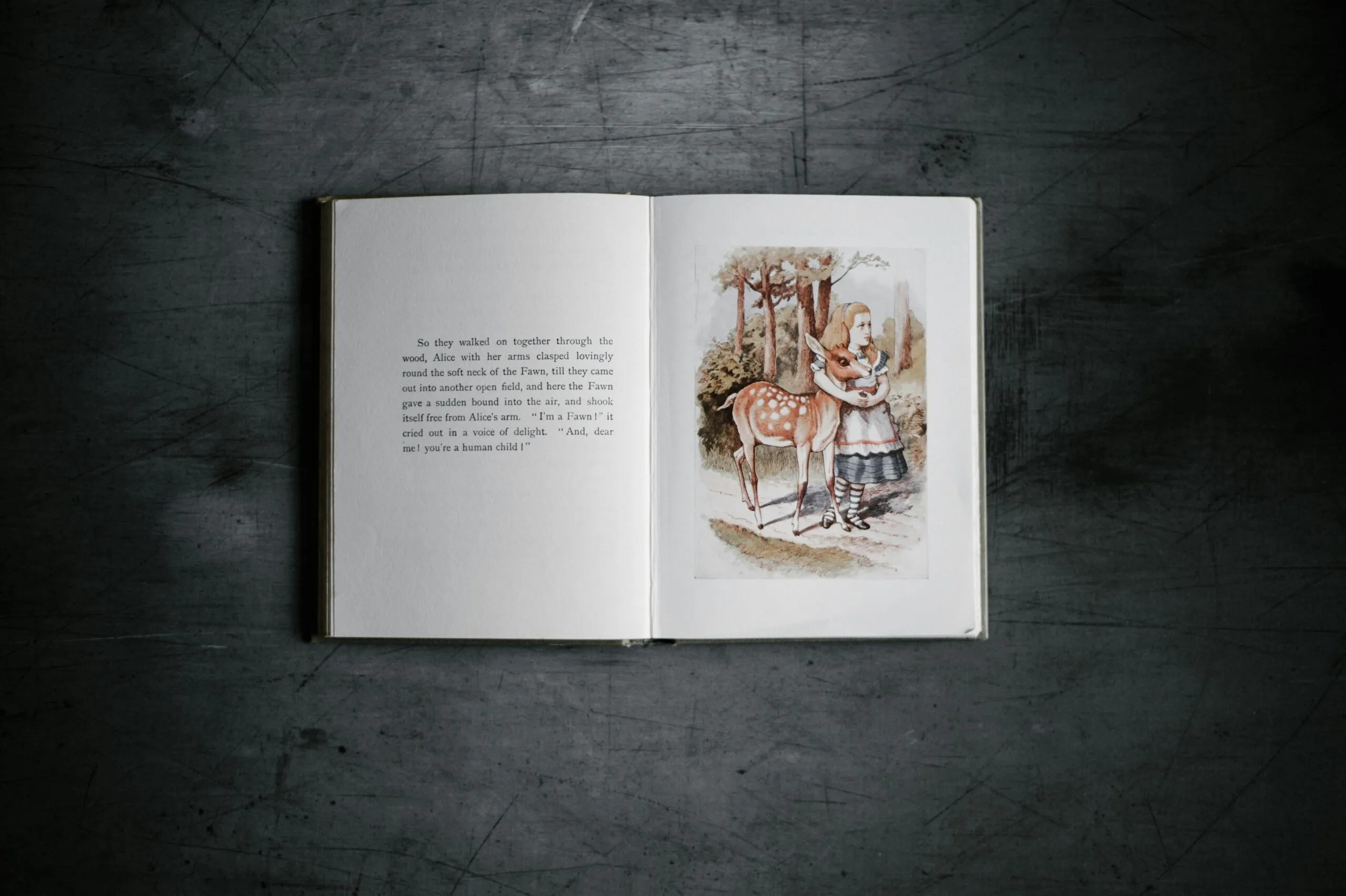 story book on gray surface