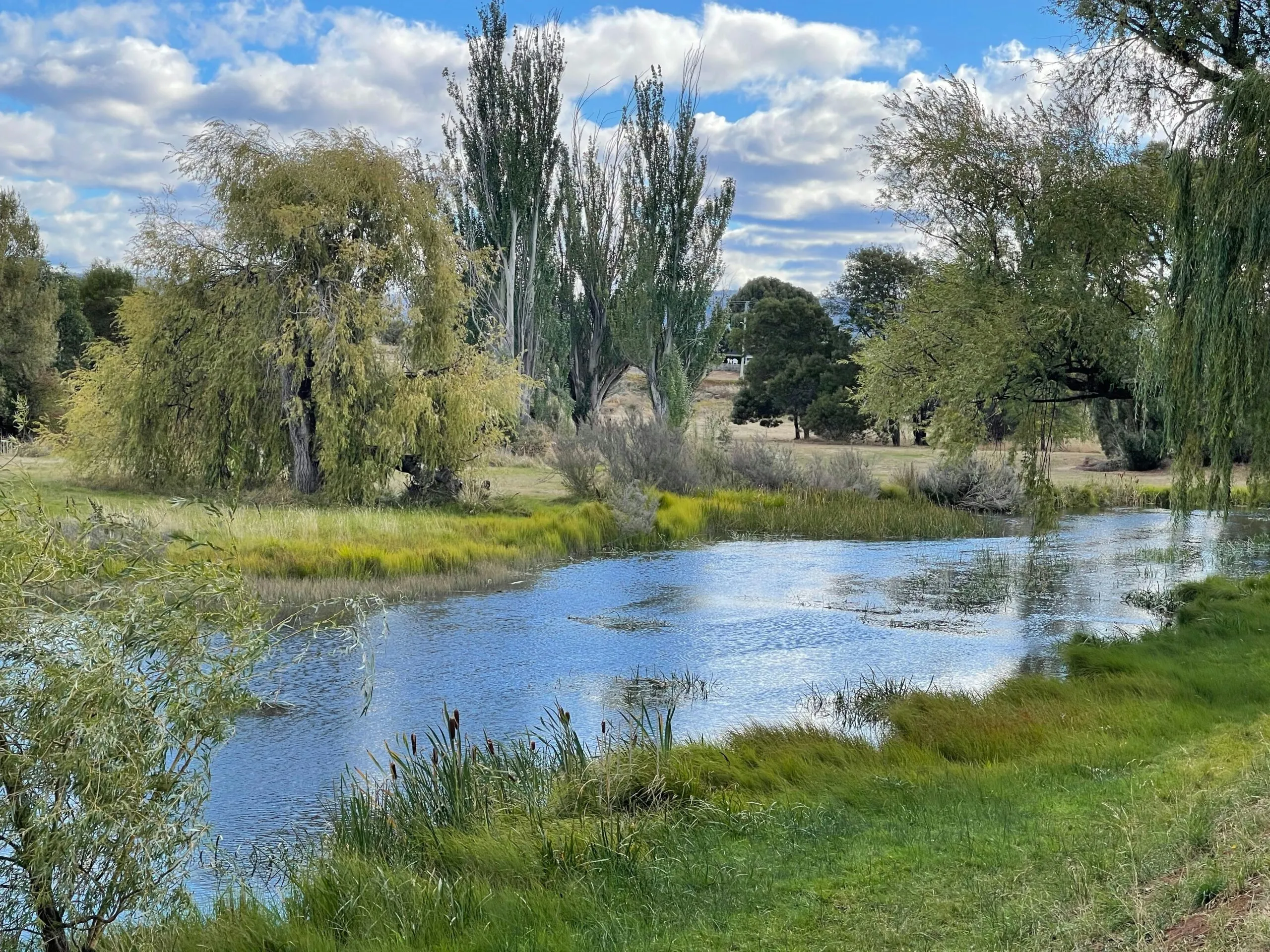A beautiful river scene with trees and blue sky.