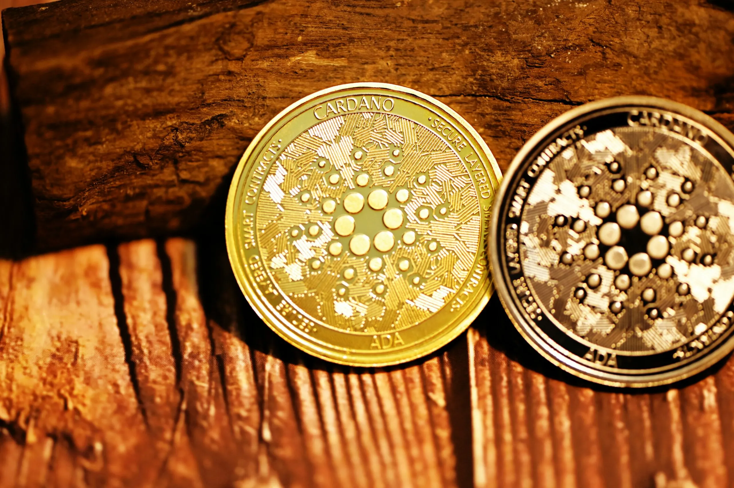gold round coin on brown wooden table