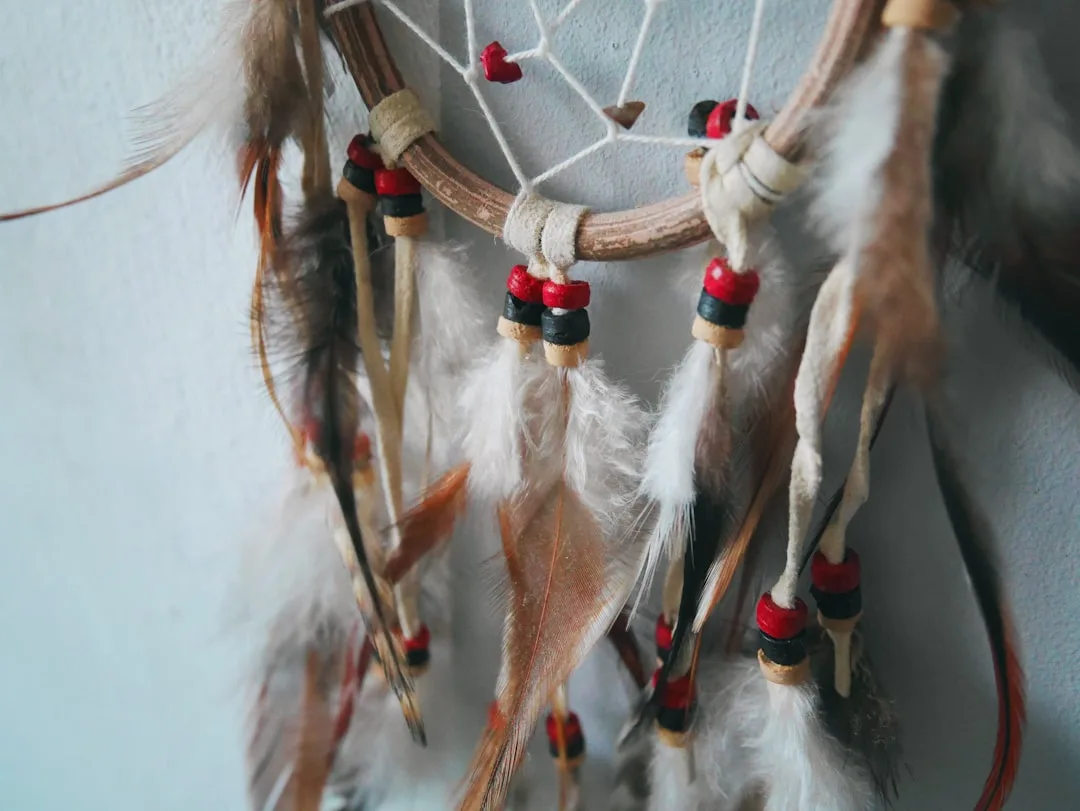 white and brown horse with brown and white rope