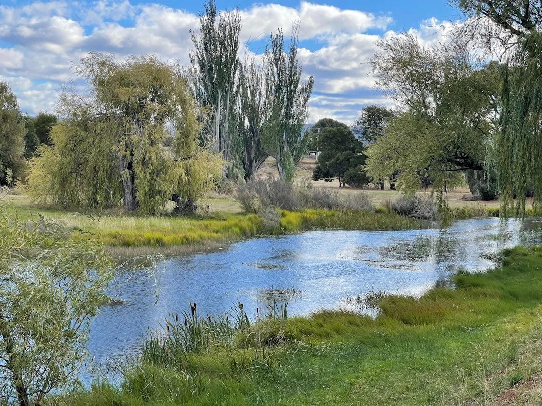A beautiful river scene with trees and blue sky.