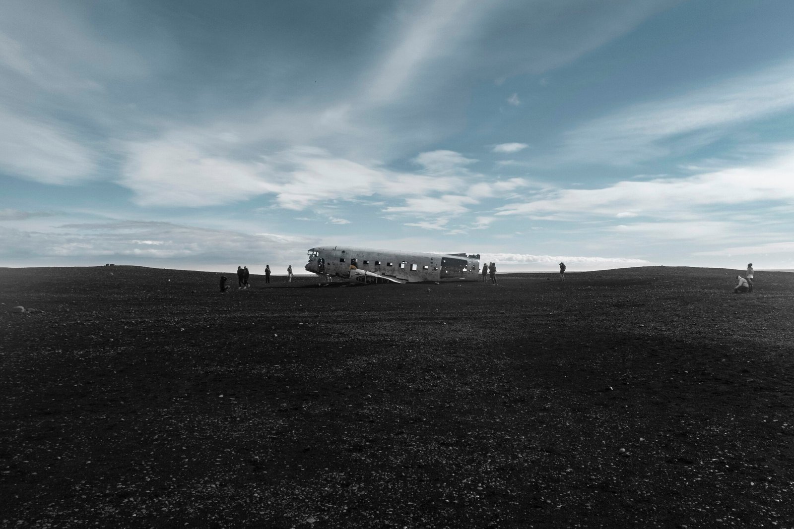 white and black car scale model