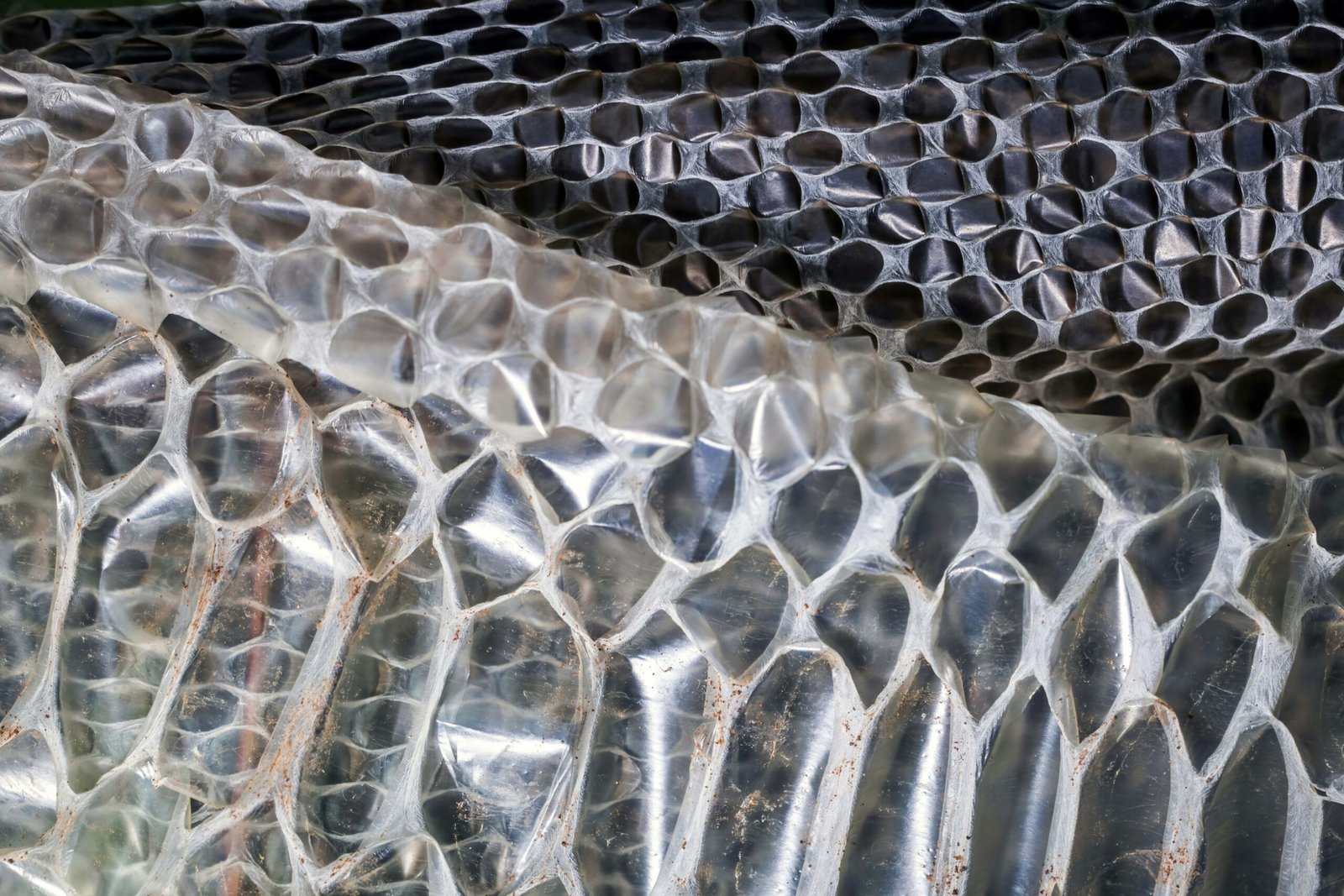 Close-up of a shed snakeskin with hexagonal scales