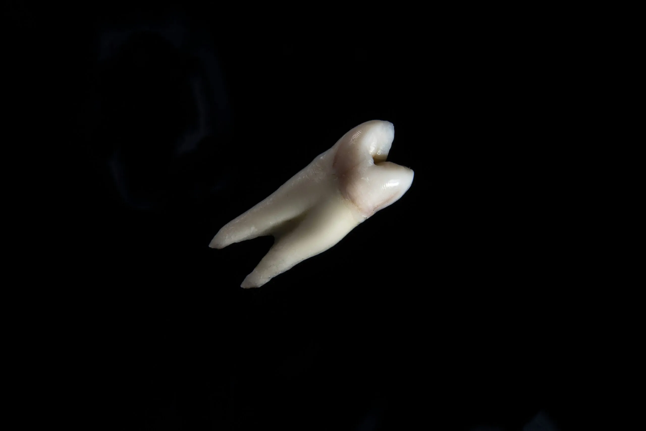 a hand with a finger pointing up