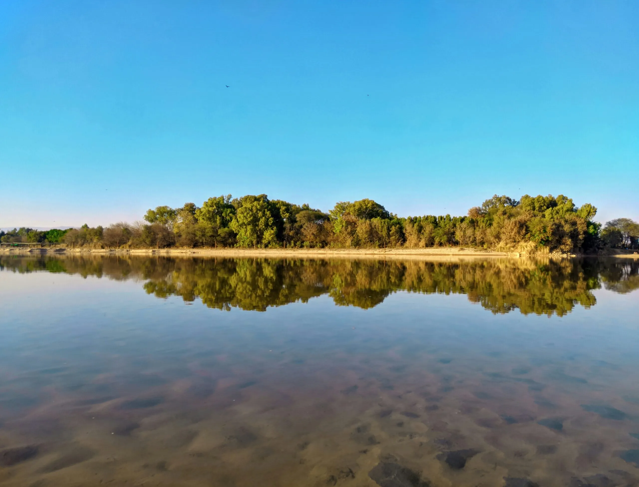 a large body of water surrounded by trees