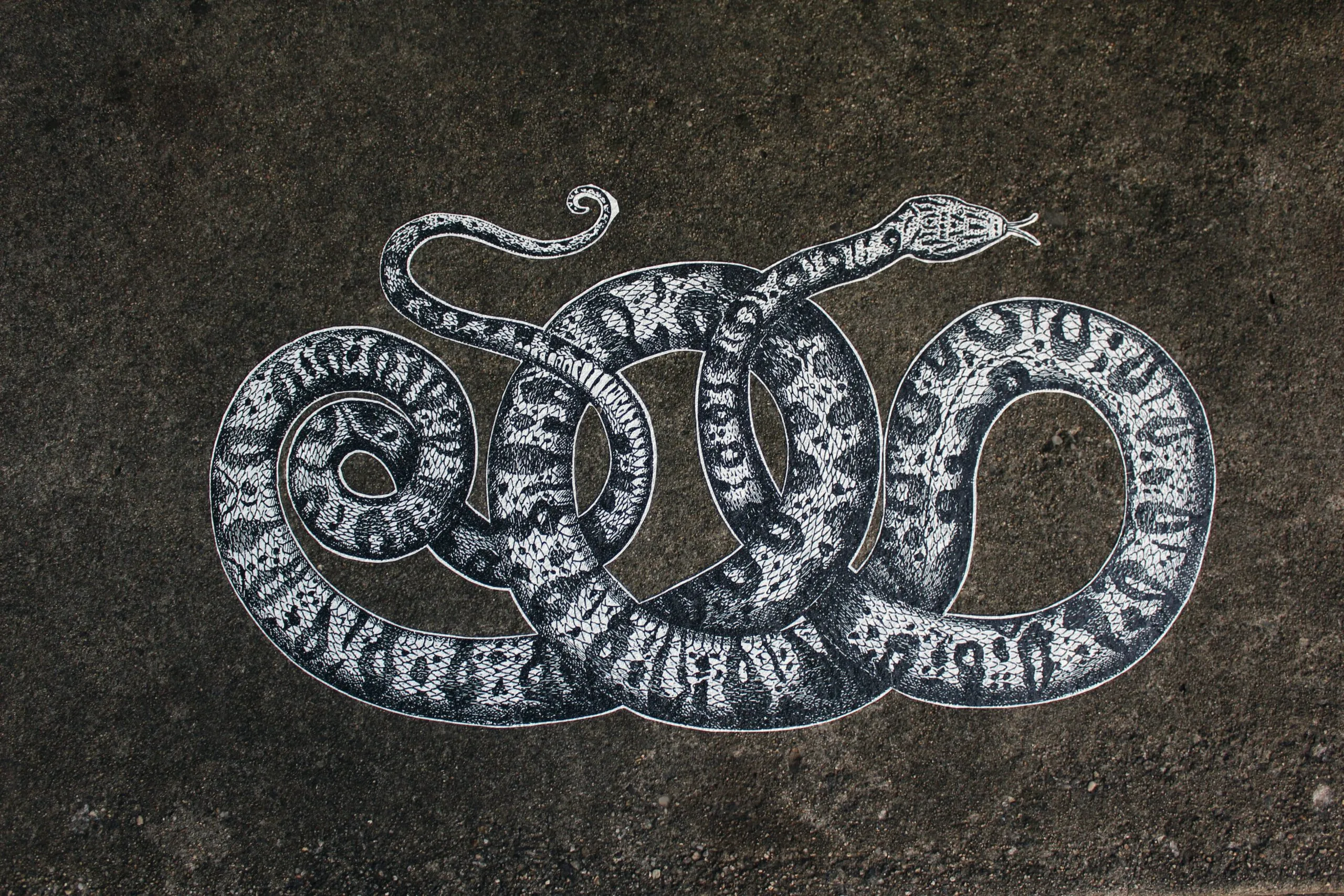 a drawing of a snake on the ground