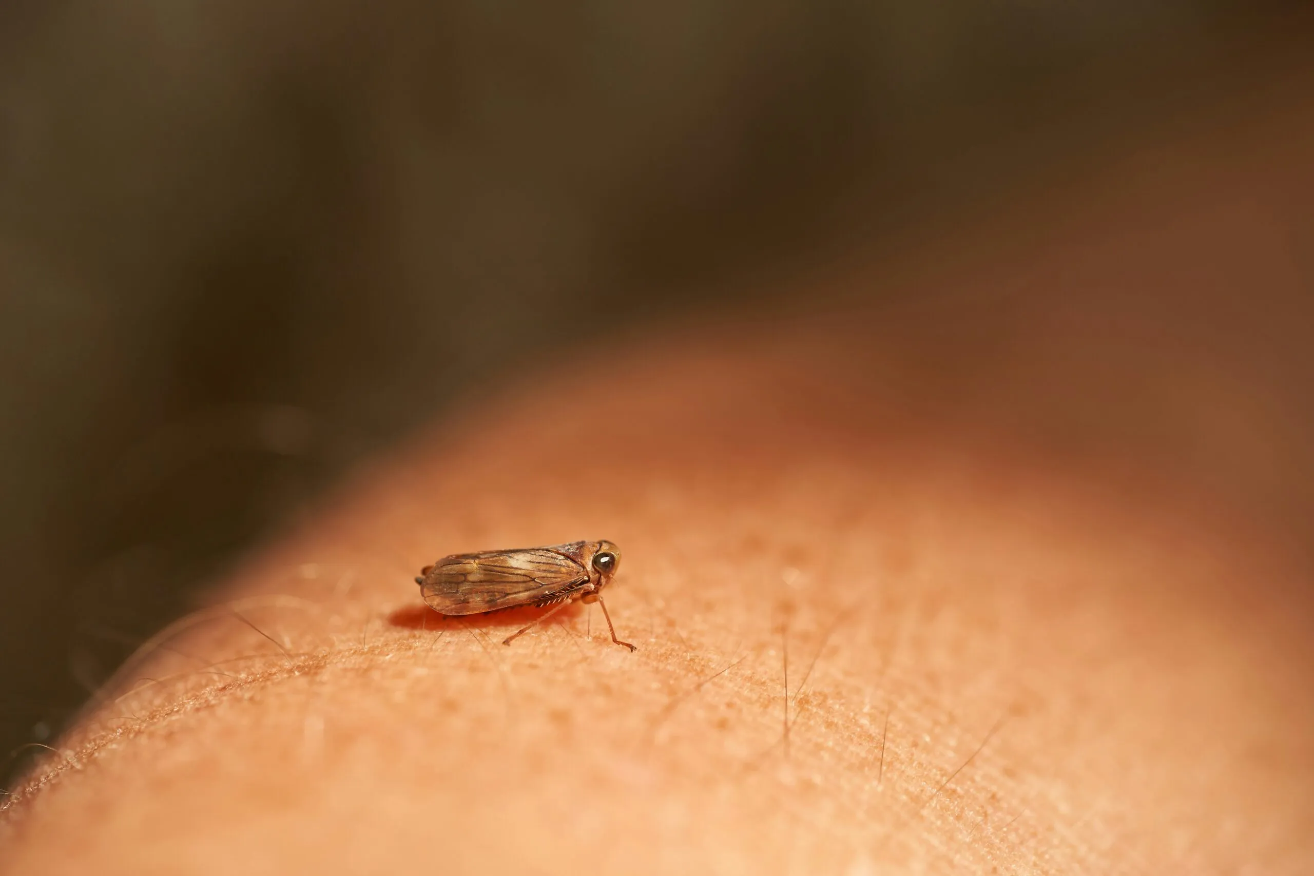 a close up of a person's arm with a bug on it