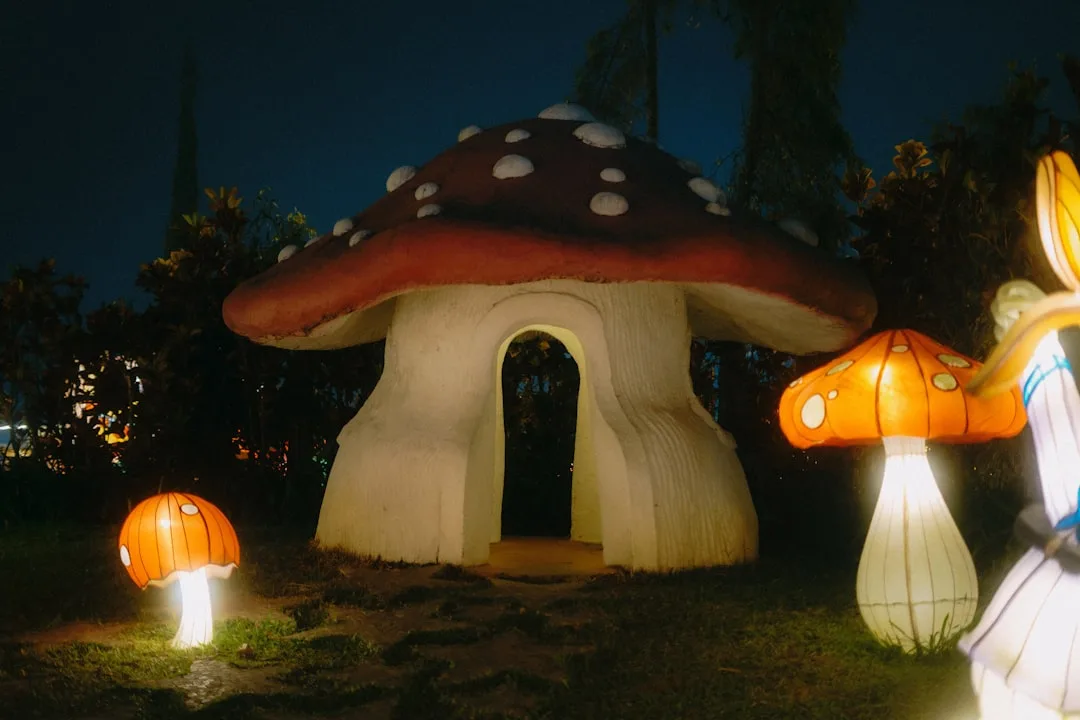 a group of illuminated mushrooms sitting in the grass