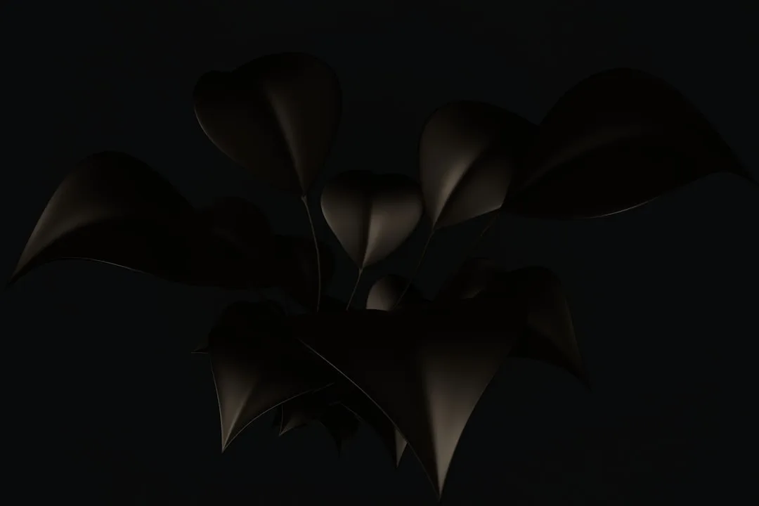 a black background with a bunch of leaves