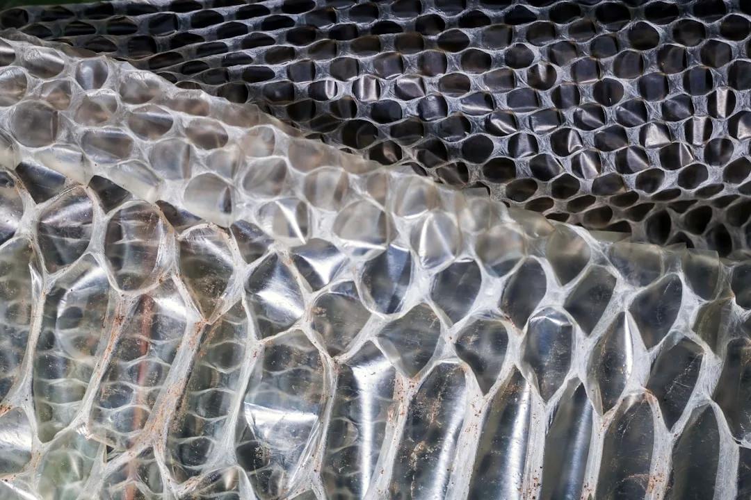 Close-up of a shed snakeskin with hexagonal scales