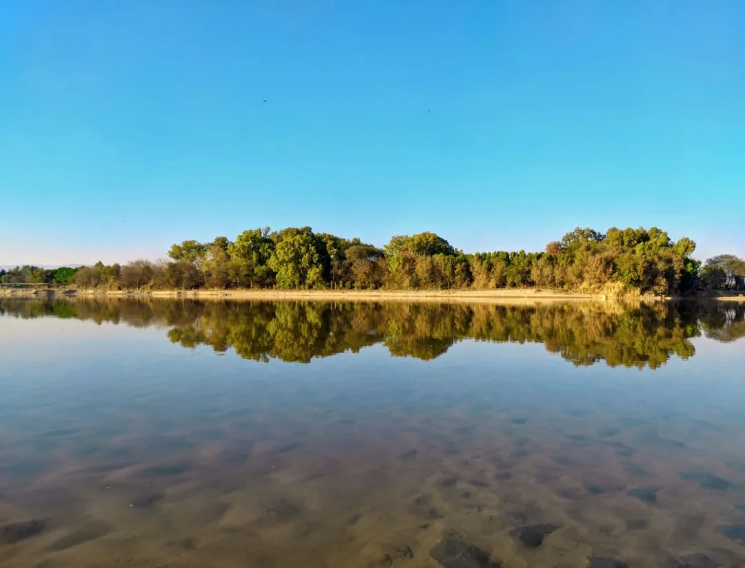 a large body of water surrounded by trees