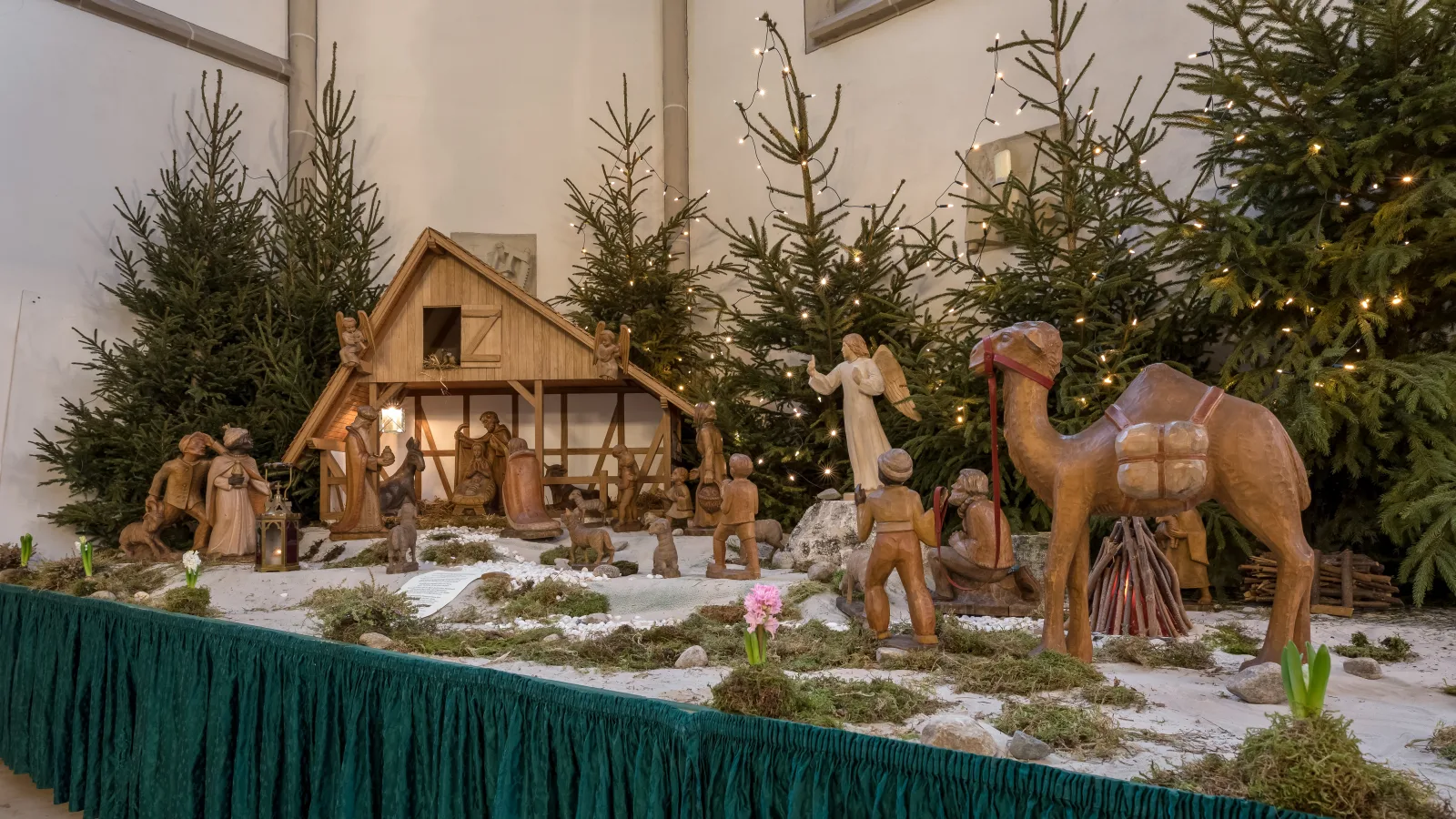 Nativity scene in the St Viktor Church, Dülmen, North Rhine-Westphalia, GermanyThe Roman Catholic parish church of St. Victor is the oldest church in Dülmen. It is located in the town center and is the only one within the former town walls. It was founded in 780 by Abbot Bernrad or St. Liudger on a Saxon (later episcopal) main farmstead. It is not only considered the original parish church of Dülmen, but also one of the oldest churches in the diocese of Münster. The church is named after and dedicated to St. Victor. The consecration of a larger church, which was probably the first stone church, took place in 1074. The church building was destroyed, rebuilt, renovated, or remodeled several times, but was always oriented toward the east, the place of sunrise. The church took on its current form around 1500, but was destroyed on March 21 and 22, 1945, and then rebuilt, with traces of the difficult reconstruction still visible.