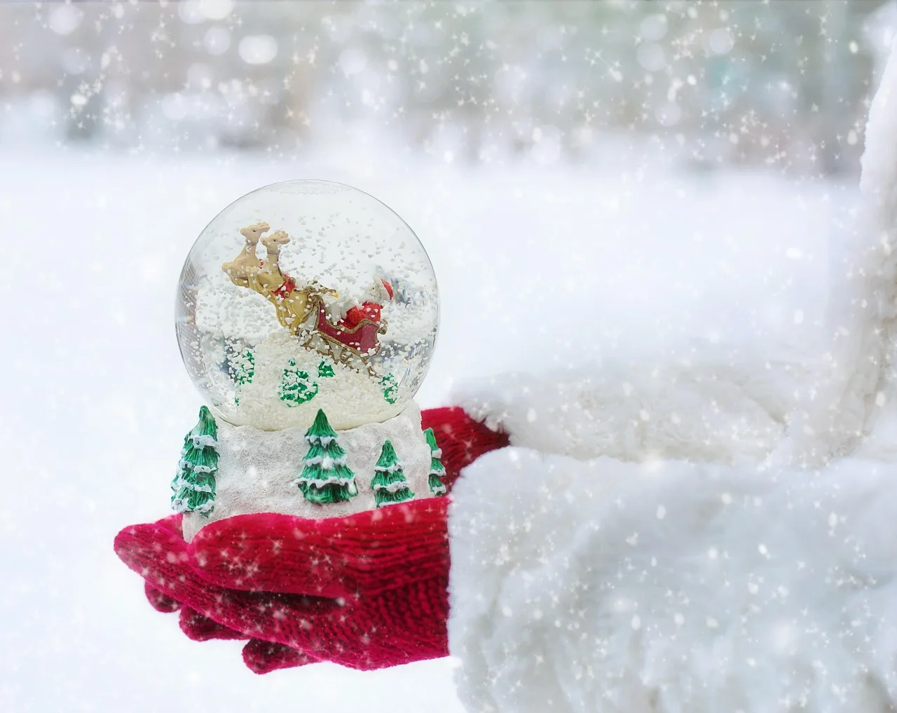 snow globe, boże narodzenie, śnieg, glob, natura, zima, piłka, szkło, dekoracja, święto, kula, uroczystość, płatek śniegu, pora roku, magia, sezonowy, radosny, biały