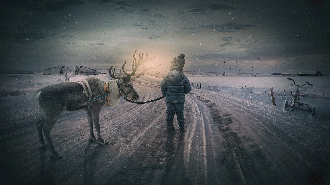 winter landscape, reindeer, boy, fairytale, small child, landscape, moose, snow, evening atmosphere, sunset, composing, child, fantasy, nature, dream, dreams