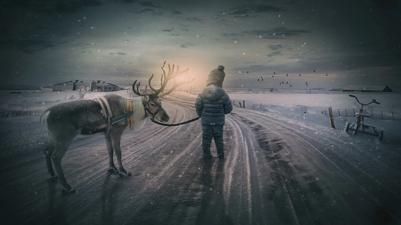 winter landscape, reindeer, boy, fairytale, small child, landscape, moose, snow, evening atmosphere, sunset, composing, child, fantasy, nature, dream, dreams