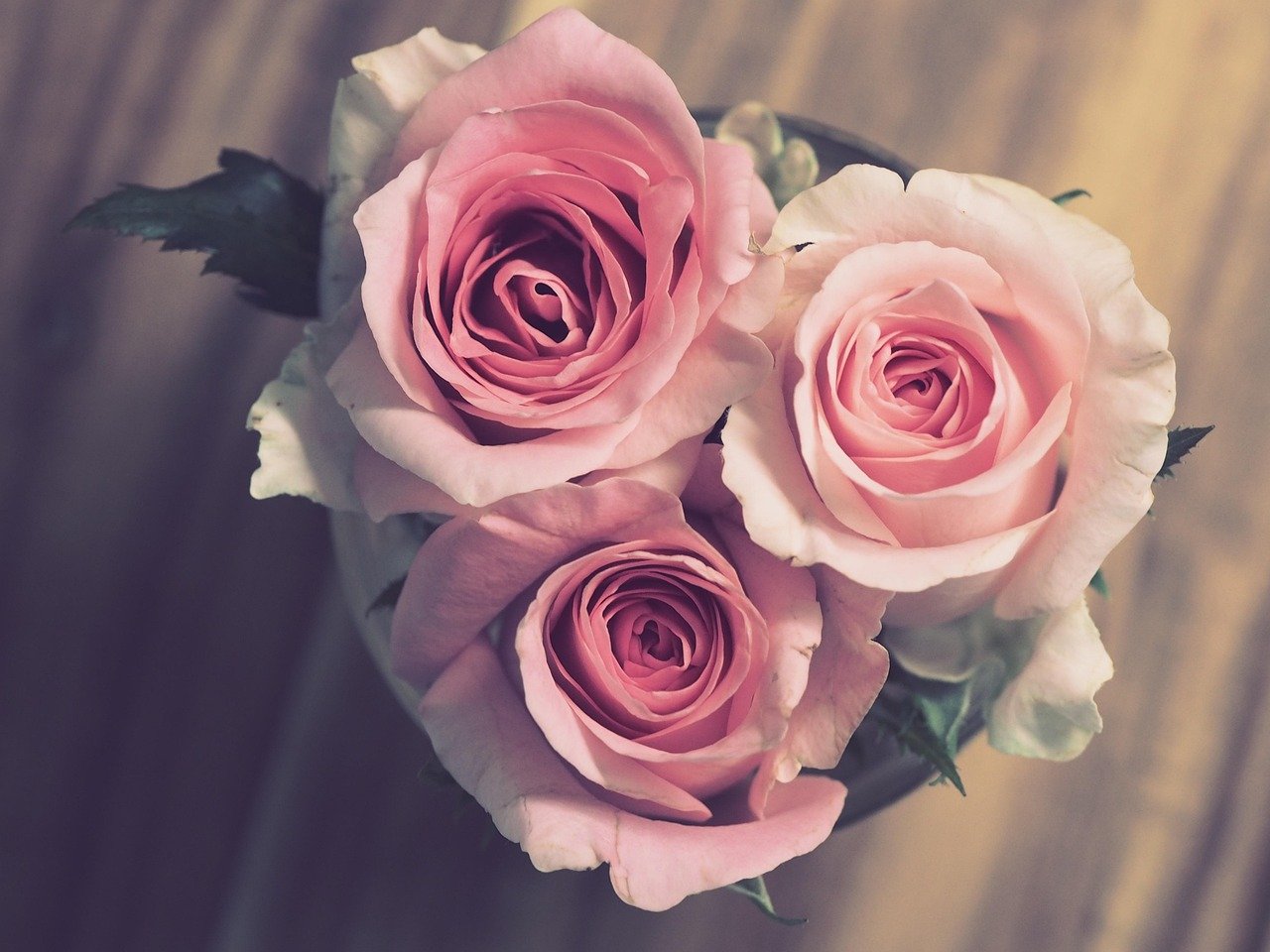 roses, pink, beautiful flowers, flower background, flowers, bouquet, romantic, wedding, marriage, anniversary, gift, nature, flower wallpaper, celebration, engagement