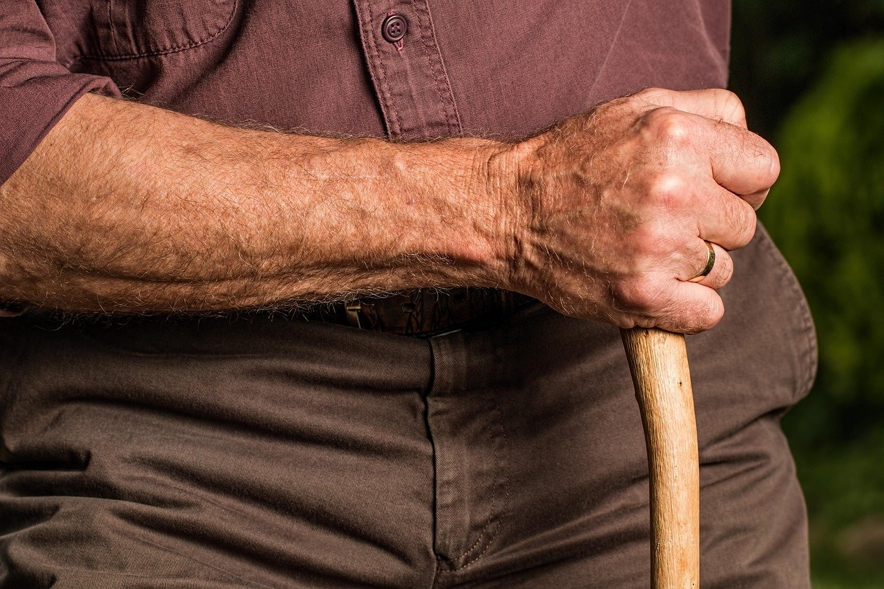 hand, walking stick, arm, elderly, old person, cane, retired, retirement, relaxed, content, senior, pensioner, elder, grandparent, outdoors, aged, walking stick, arm, arm, arm, arm, elderly, elderly, cane, retirement, retirement, senior, senior, elder, elder, elder, elder, elder