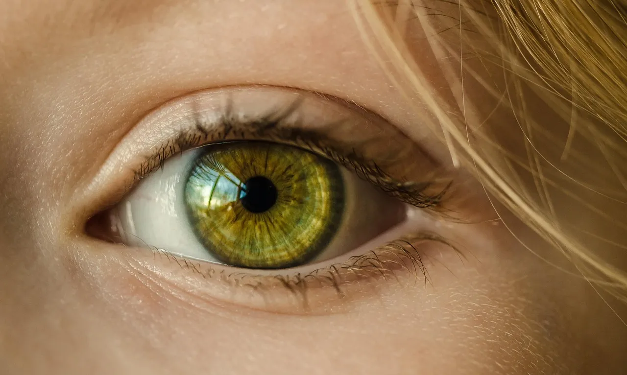 eye, iris, look, focus, green eye, close up, retina, pupil, eyeball, vision, sight, macro, girl, young, female, skin, caucasian, eyelashes, eye, eye, eye, eye, eye