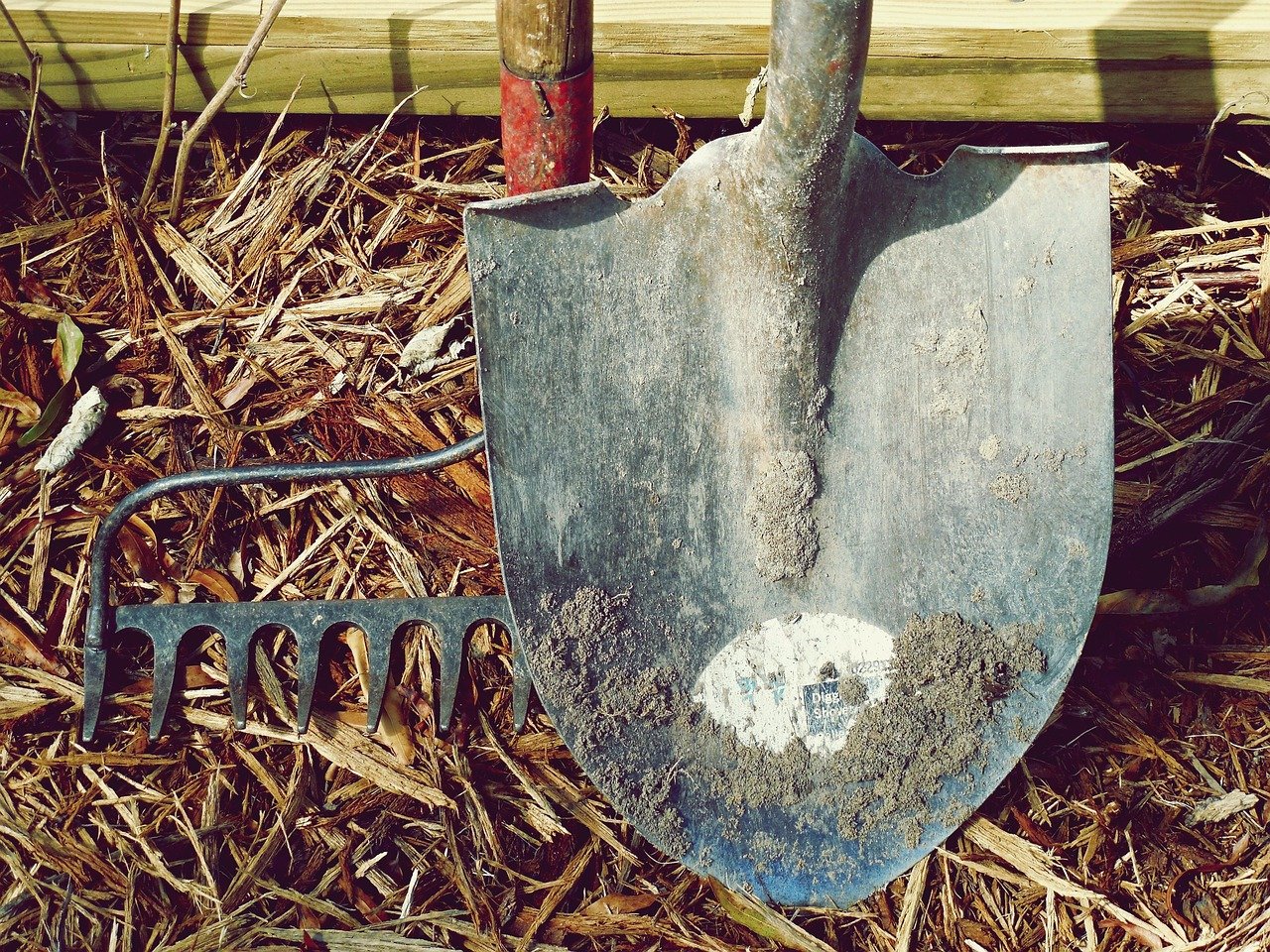 shovel, rake, nature, dirt, farm, garden, hand tools, labor, metal, tools
