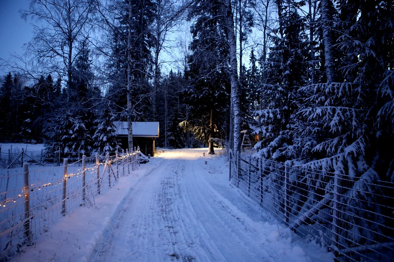 natura, zima, pora roku, drzewa, śnieg, boże narodzenie, światła, wieś, christmas tapety, zima, zima, boże narodzenie, boże narodzenie, boże narodzenie, boże narodzenie, boże narodzenie