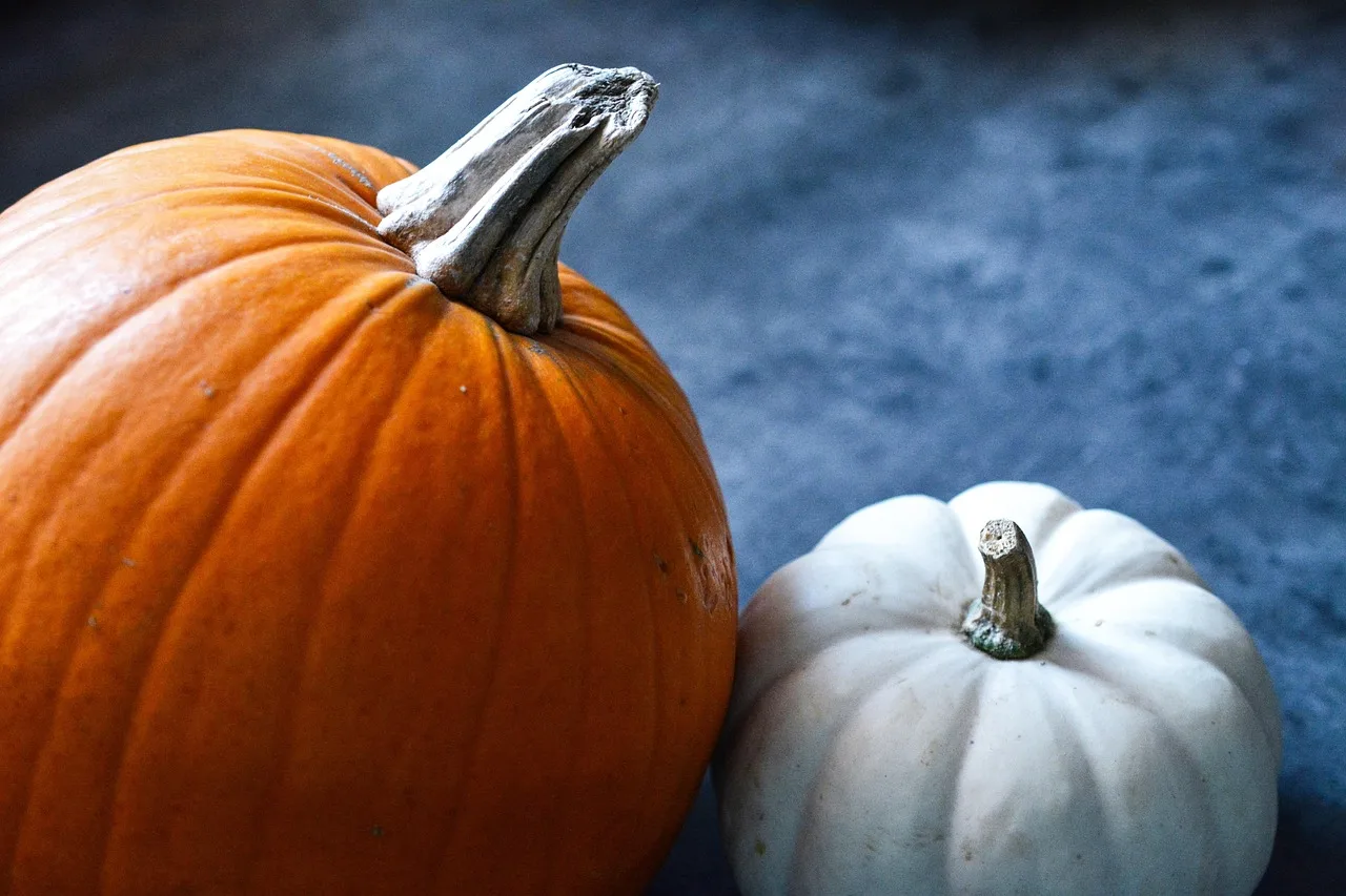 pumpkin, halloween, pomarańczowy, pumpkin, pumpkin, pumpkin, pumpkin, pumpkin