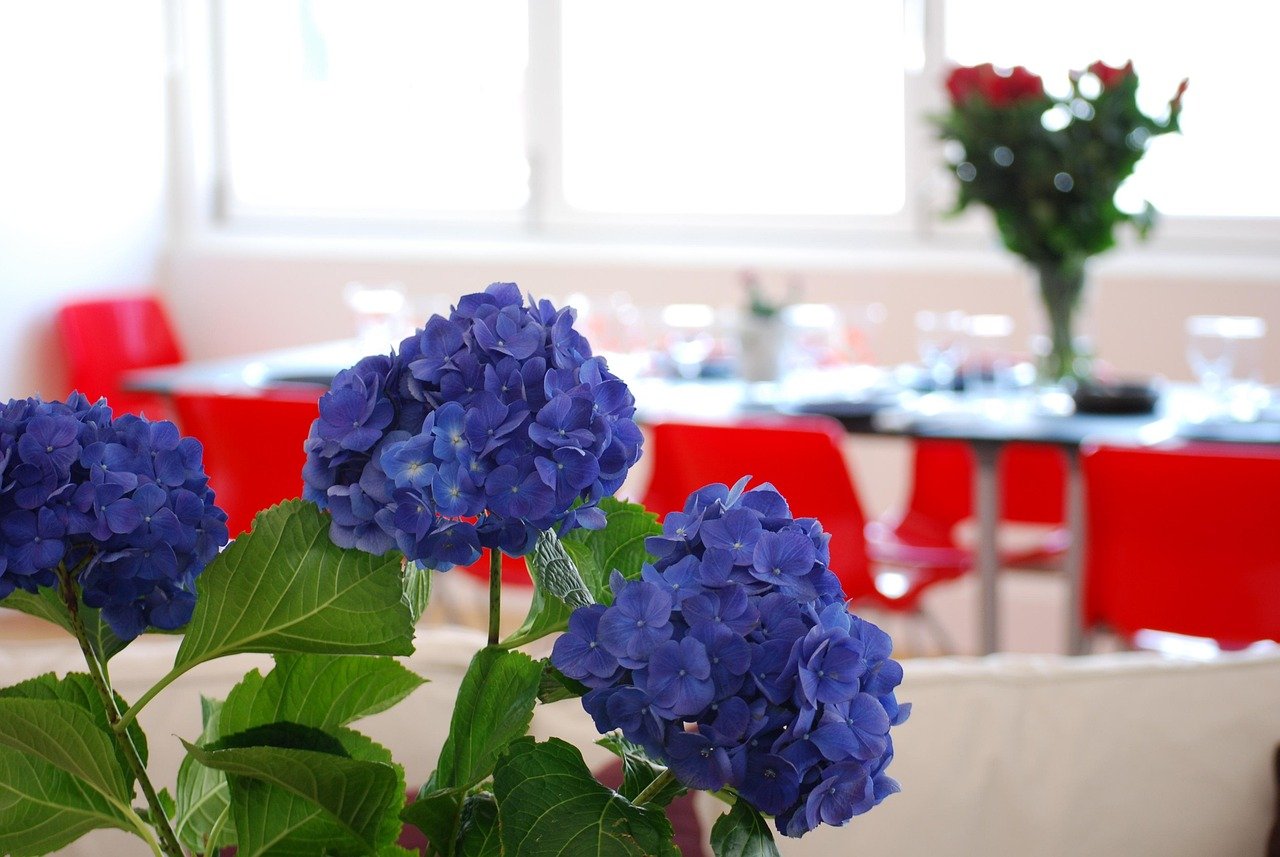 table, setting, flower wallpaper, flowers, nature, dinner, celebration, dining, flower background, restaurant, white, lunch, happy birthday, banquet, party, decoration, beautiful flowers, wedding, red, retirement