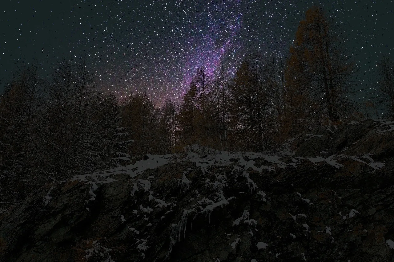 panorama, drzewo, natura, noc, zima, night sky, найтски, gwiazdy, las, śnieg, night sky, night sky, night sky, night sky, night sky