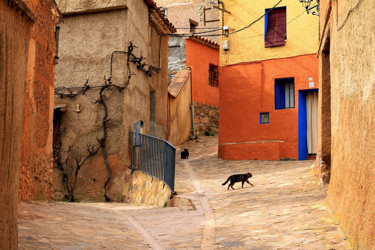 street, animal, pet, cat, rural, architecture, city, housing, houses, old, facade, window, townhouse, home, apartment, community, stone, rustic