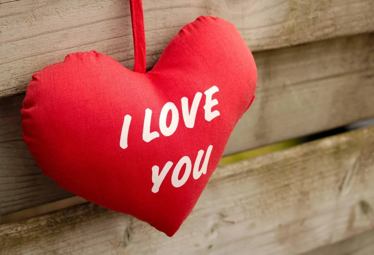 i love you, czerwony, drewno, wooden, romantic, miłość, happy, you, text, prezent, karta, uroczystość, dzień, message, powitanie, dekoracja, word, teraźniejszość, friendship, couple, friends, happiness, together, boyfriend, dziewczyny, i love you, romantic, romantic, romantic, happy, happy, happy, happy, happy, couple, boyfriend
