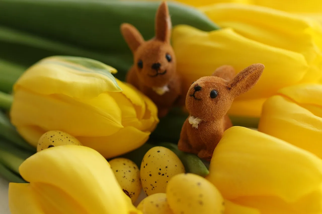 pisanki, tapeta kwiatowa, żółte tulipany, piękne kwiaty, dekoracja wielkanocna, wielkanoc, kwiaty, żółte kwiaty, flora, natura, wielkanocne zające, ozdoba, kartka z życzeniami, kwiat tło, tulipany, wiosna, wielkanocna dekoracja, obraz wielkanocny, paaskaart