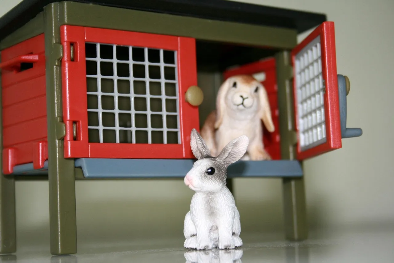 playmobil, nature, toy, rabbit hutch, barn, easter bunny, rabbits, animal, rabbit