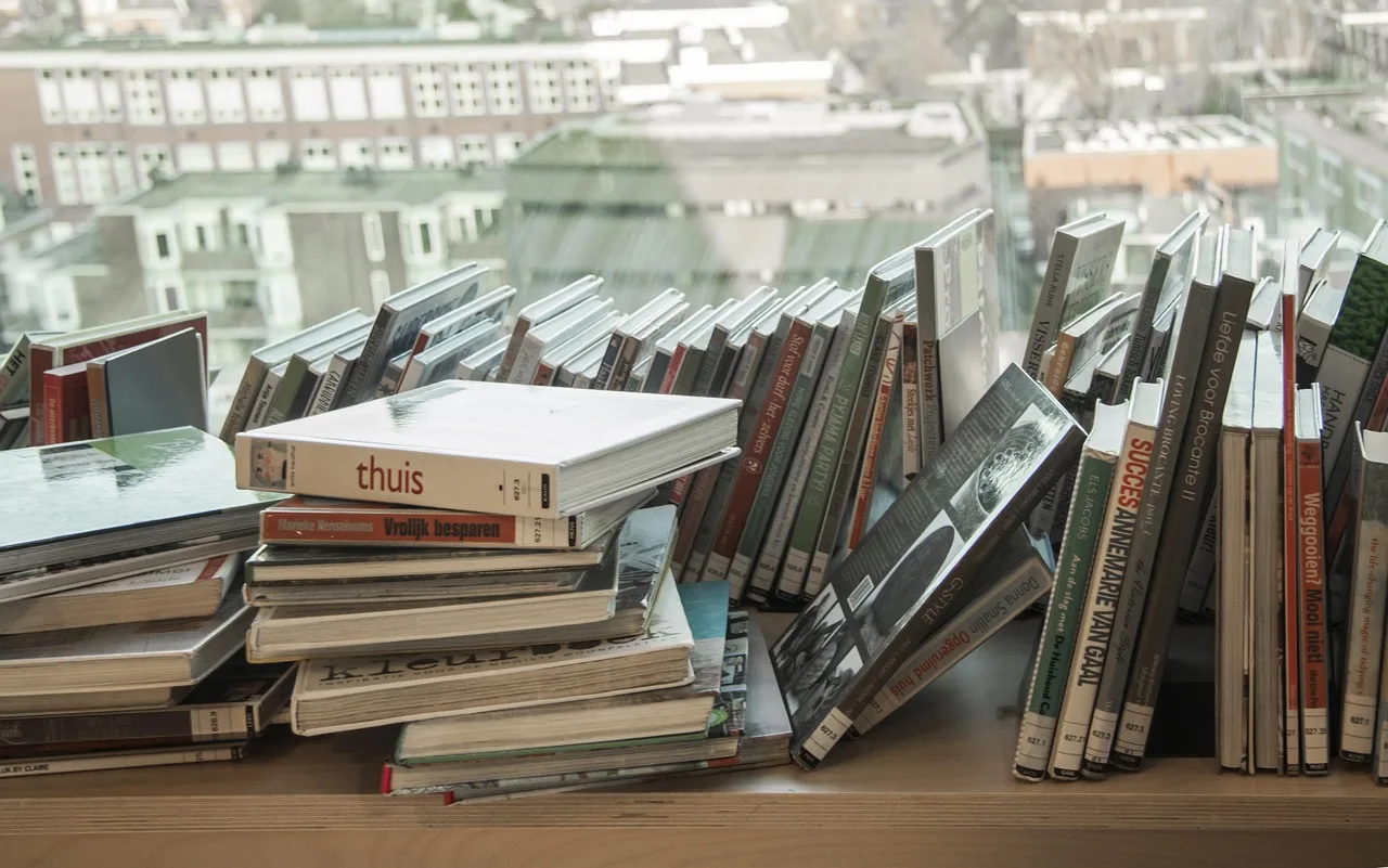 books, nauka, education, panorama, netherlands, library, okno, books, books, books, books, books, library