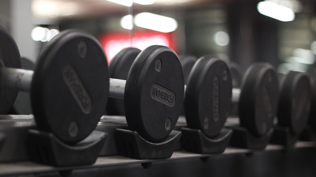 weights, gym, dumbbell, gray gym, gym, gym, gym, gym, gym, dumbbell