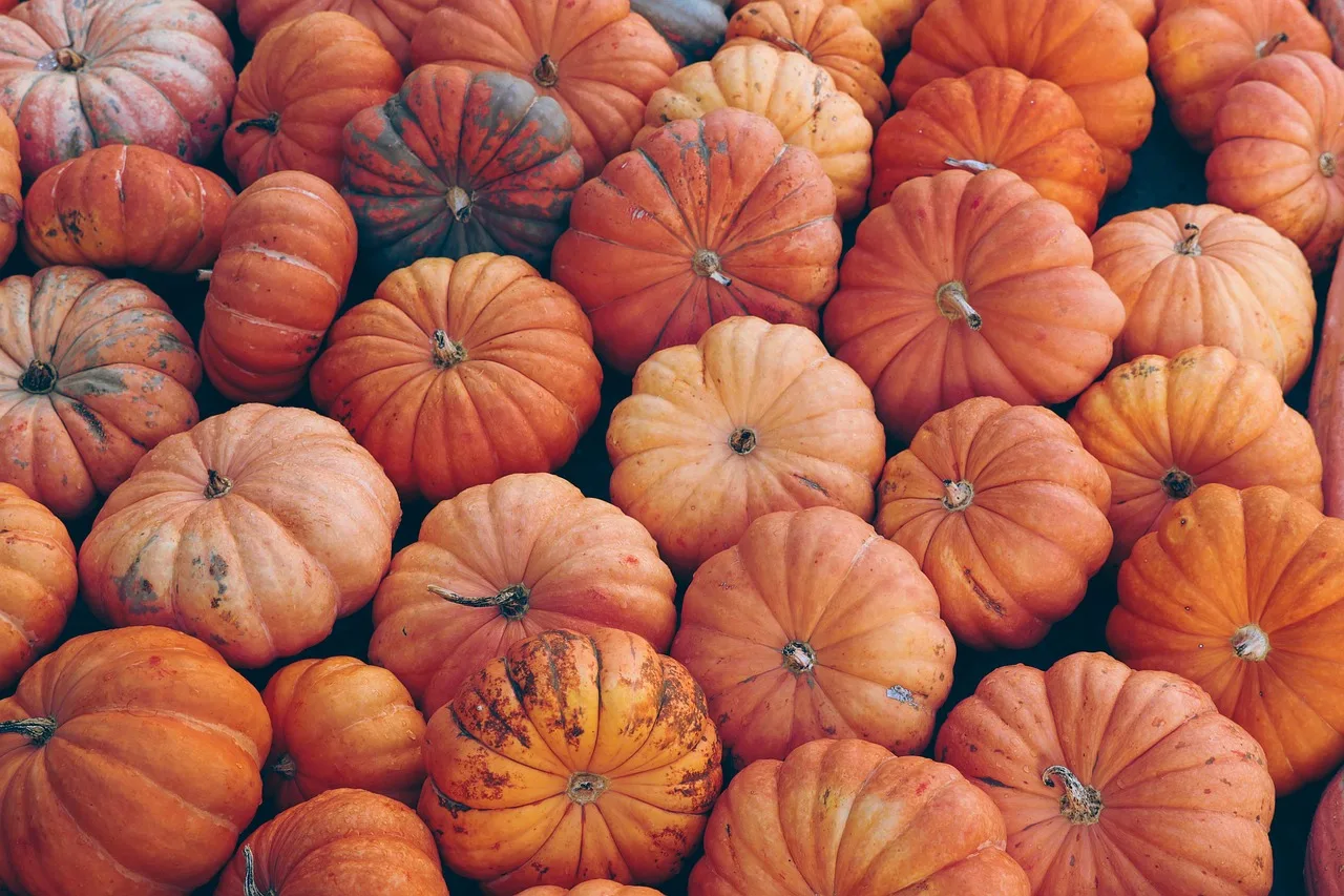 dynia, warzywa, halloween, spadek, pomarańczowy, październik, dynia, dynia, dynia, dynia, dynia, halloween, halloween, halloween