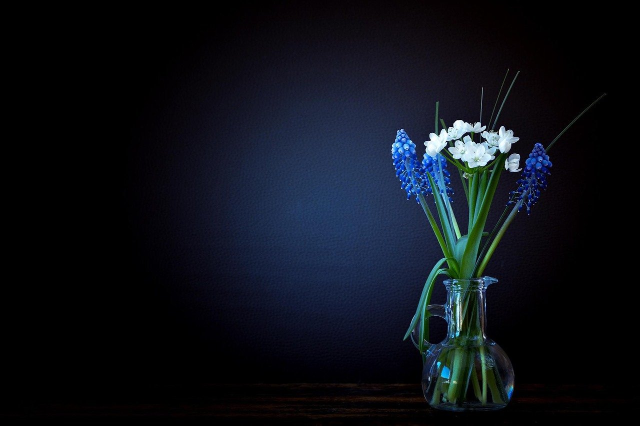 flowers, vase, glass, flower wallpaper, container, glass jar, glass vase, flower vase, leek flower, white, flower background, hyacinth, muscari, spring flowers, beautiful flowers, nature, still life, deco, decoration
