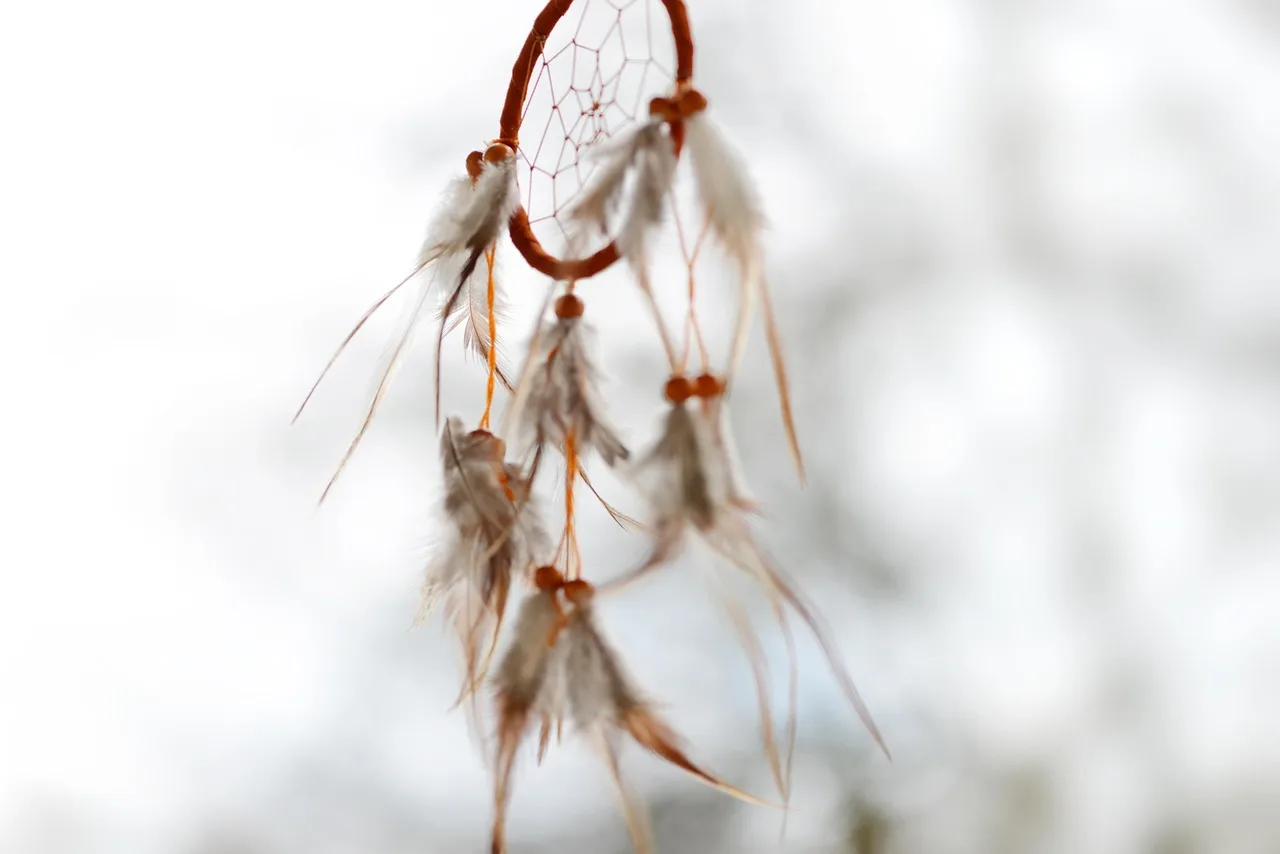 dream catcher, dreamcatcher, pióra, sny, indyjski, kultura, śnić, duchowość, hippie, duchy natury, biżuteria z piór, duchowe, indianie, perły, magia, макраме, marzenia, szamanizm, węzeł, dream catcher, sny, sny, sny, duchowość, indianie, marzenia, marzenia, marzenia, marzenia, marzenia, szamanizm