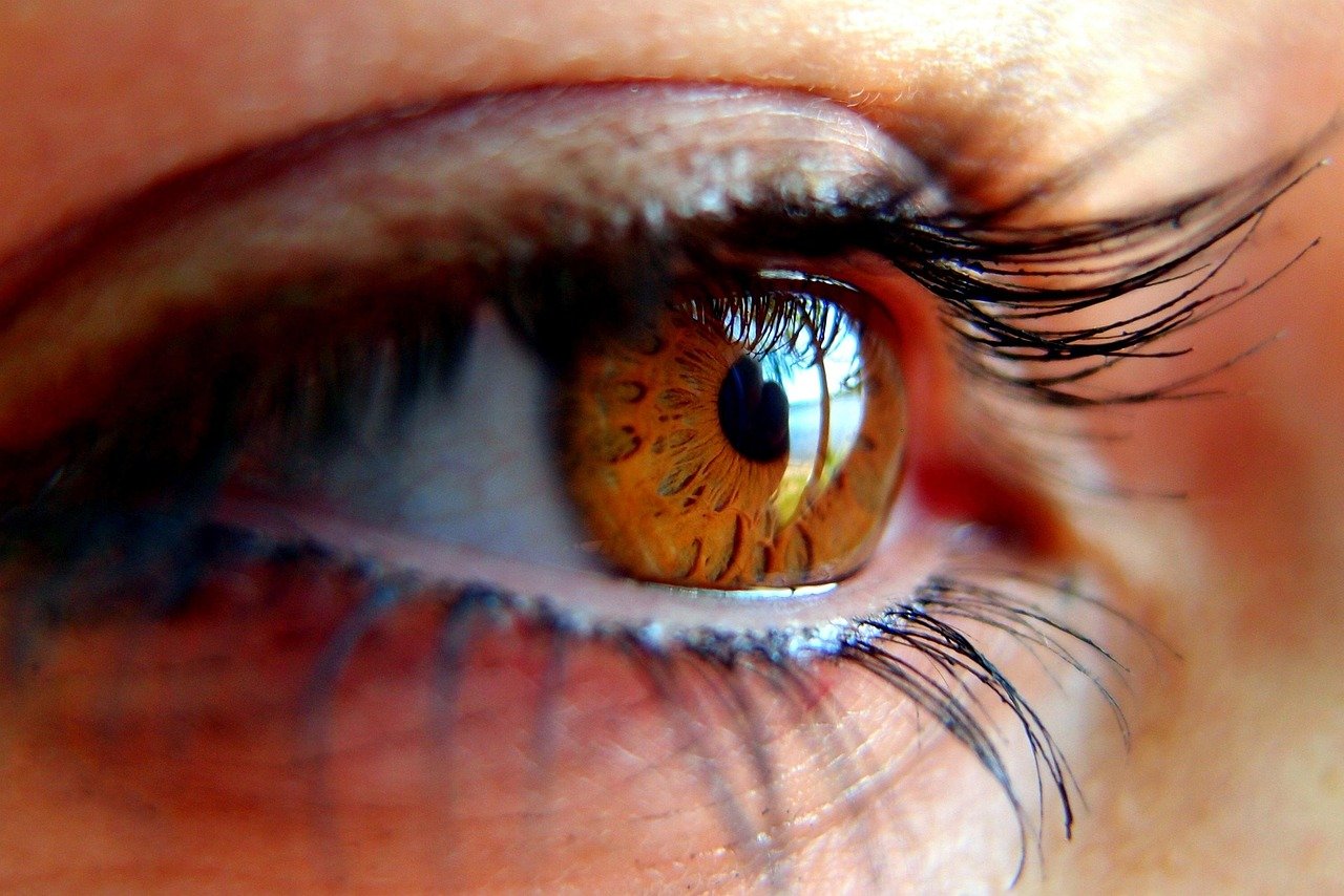 eye, girl, woman, pupil, iris, eyelashes, eyelashes, eyelashes, eyelashes, eyelashes, eyelashes