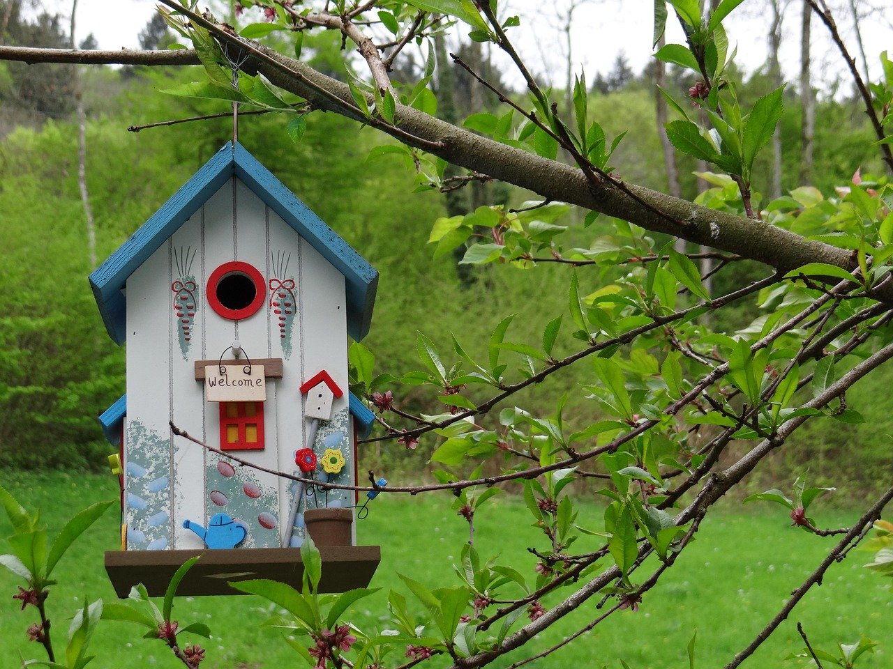 bird house, garden, nature, nesting box, bird, treehouse
