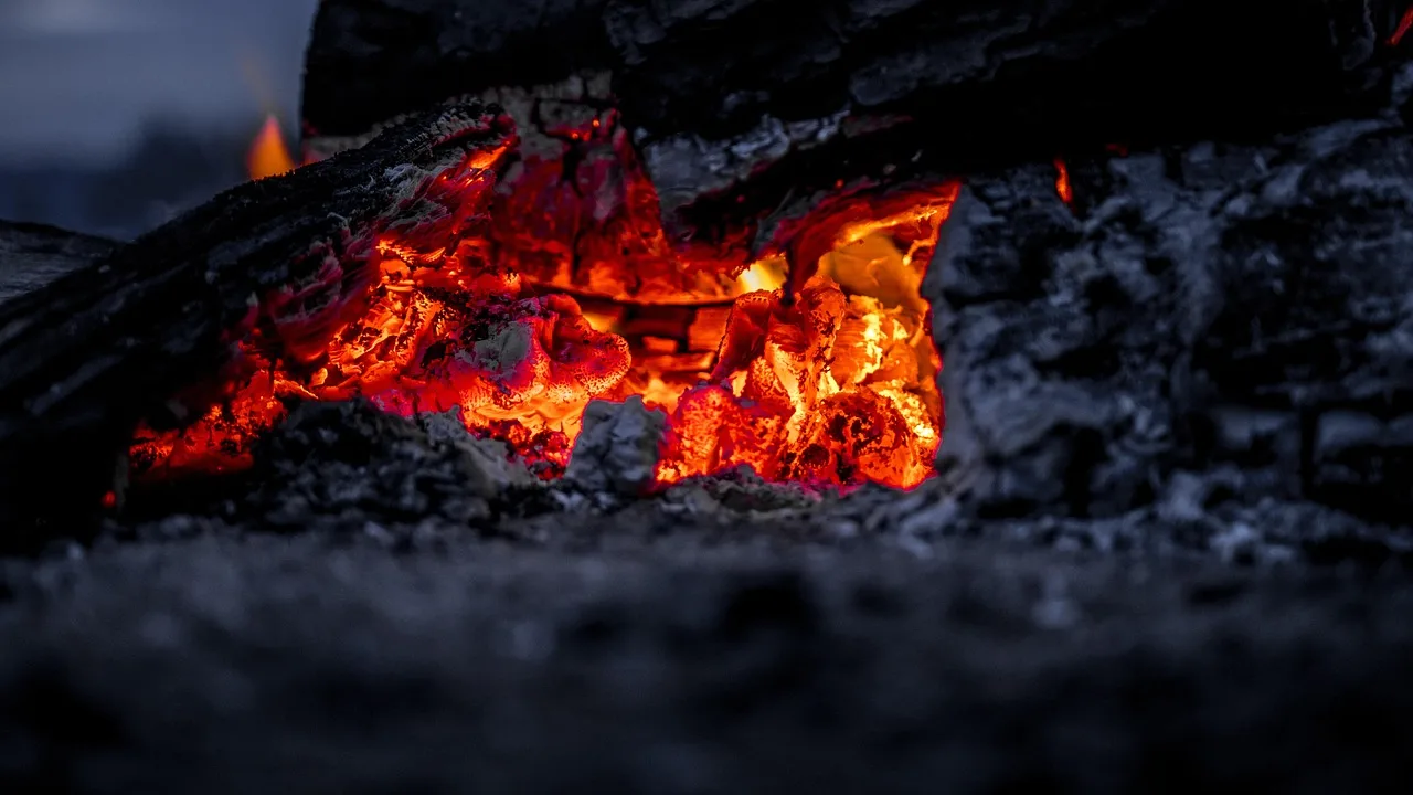 campfire, fire, log, ogień, ognisko, płomień, ciepła, drewno, kemping, gorący, palenie, płomieni, palić, natura, gorąco, ciepły, pomarańczowy, rozjarzony, evening