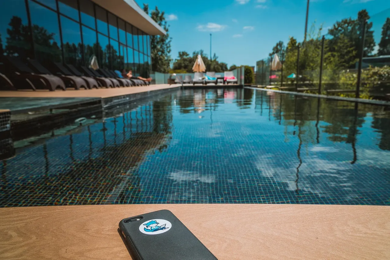 vacations, pool, swimming pool, water, swim, nature, summer, relaxation, leisure time, resort, relax, to bathe, cell phone free, digital detox