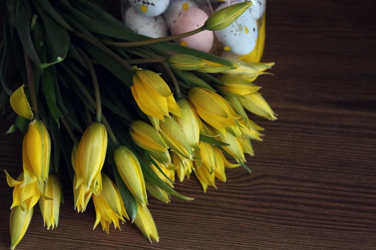 happy easter, tapeta kwiatowa, natura, kwiat tło, eggs, święto, flowers, piękne kwiaty, yellow tulips