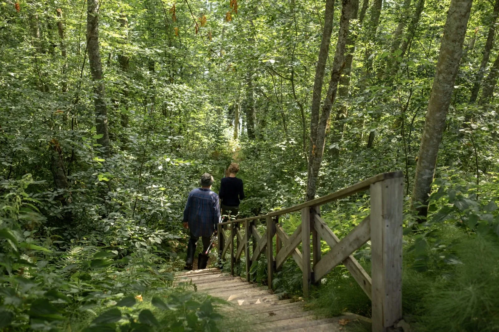 Two people walking down a wooden bridge in a lush green forest.
