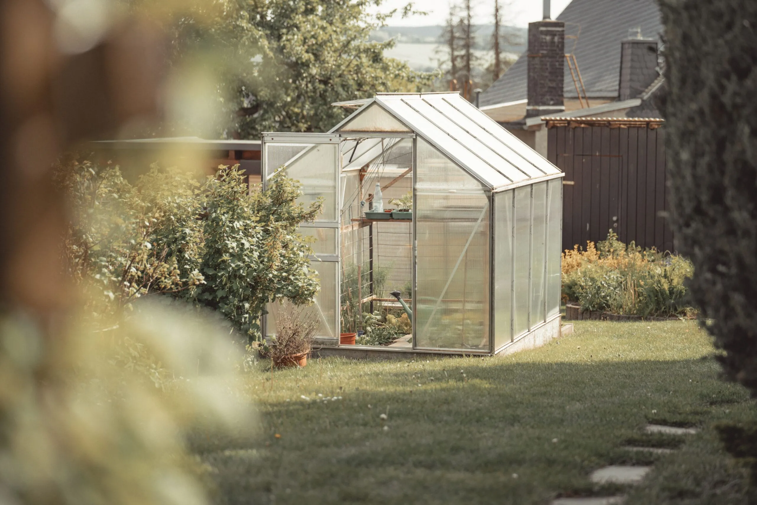 A peaceful backyard greenhouse surrounded by vibrant greenery on a sunny day.