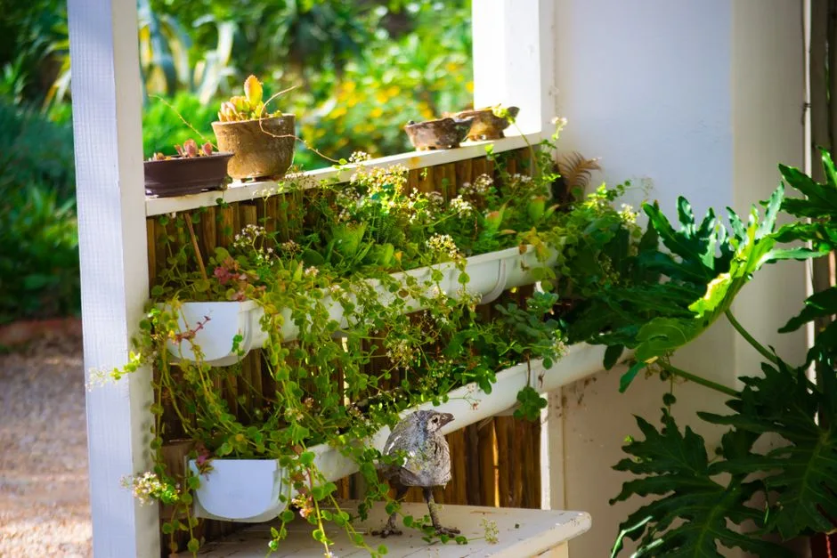 A vibrant vertical garden with potted succulents and lush greenery in natural sunlight creating a serene atmosphere.