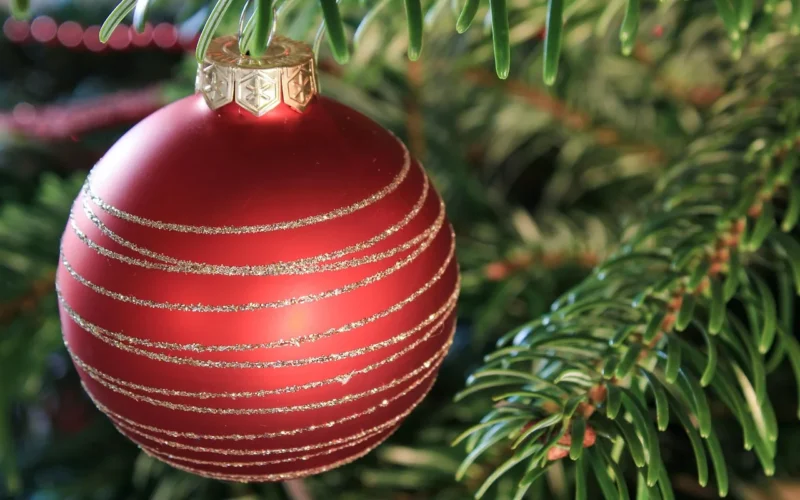 christmas pictures, christmas, pine tree, christmas ornament, balls, tree decorations, fir green, christmas decorations, christmas decoration, advent, greeting card, christmas motif, dekoracja, christmas time